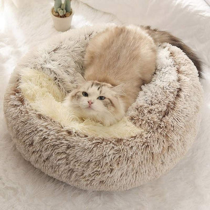 Panier chat peluchat café