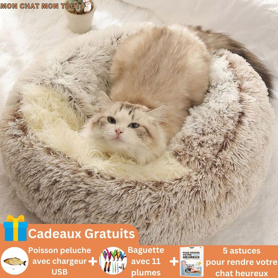 Panier-chat-peluche-rond-cafe