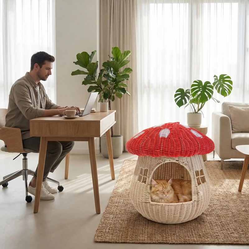 Panier en osier pour chat MonChatPignon refuge adoré