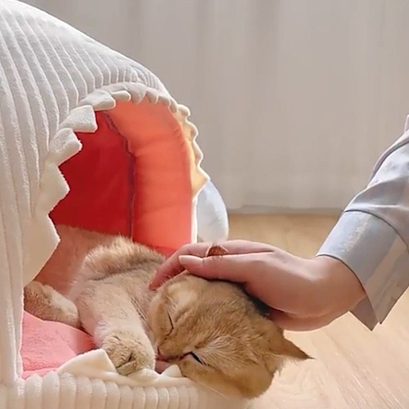 Panier pour chat caresses siestes