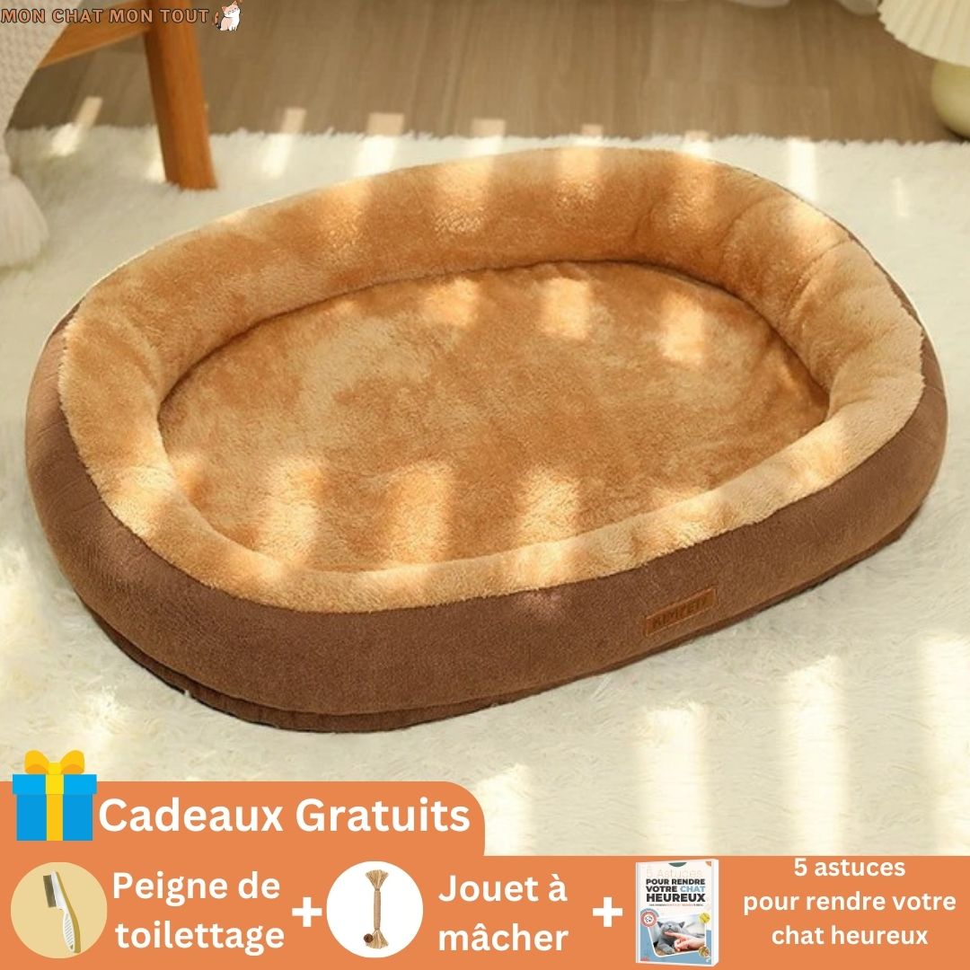 panier-chat-moelleux-cafe-offre