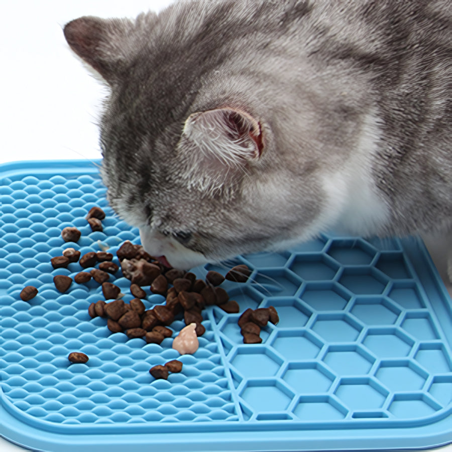 Tapis-anti-glouton-chat-bleu-mange