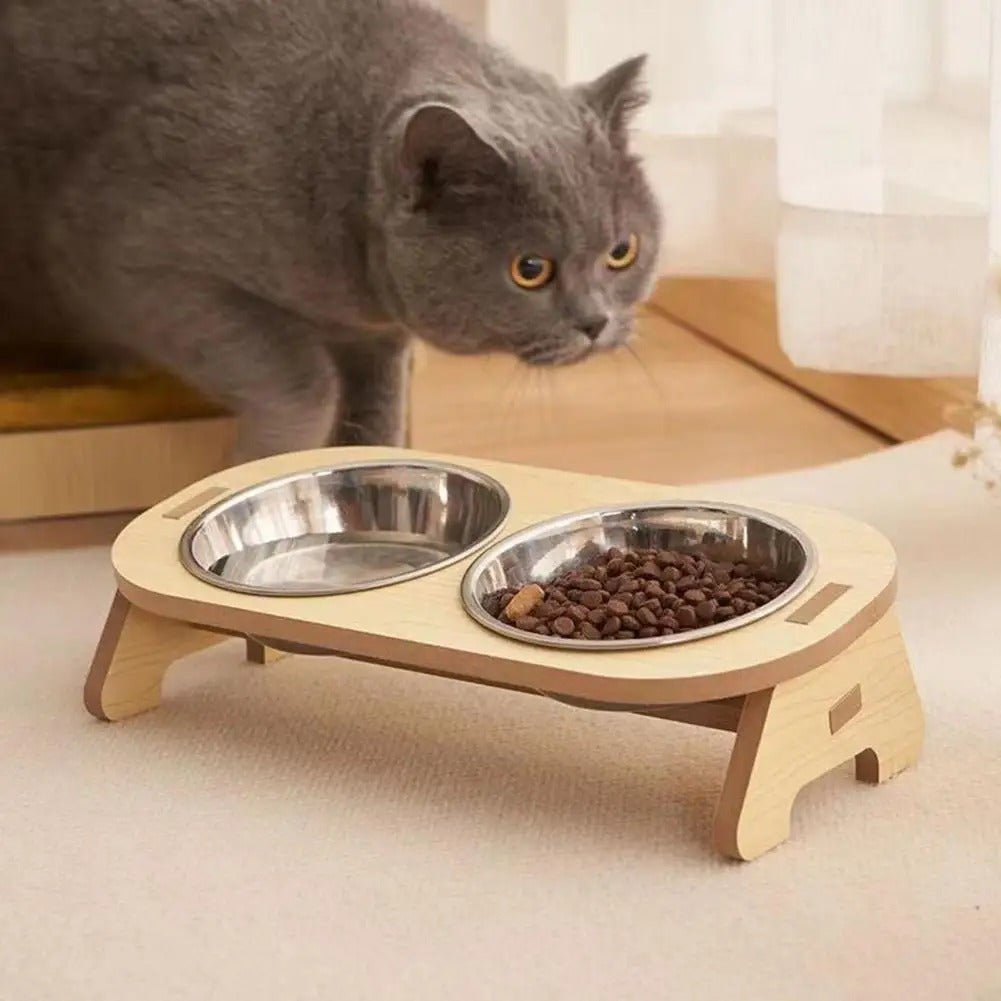 chat avance vers gamelle surélevée