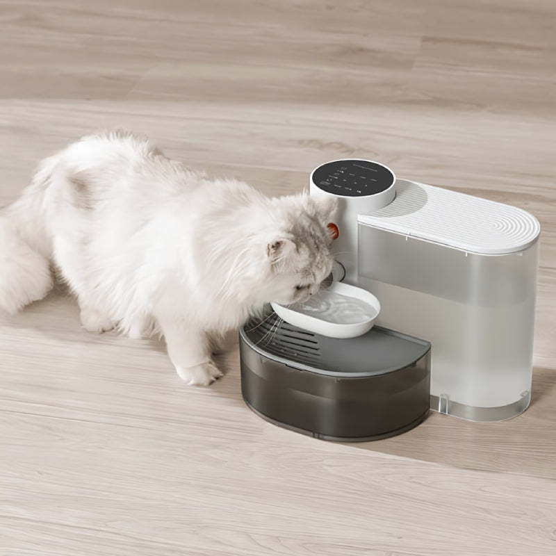 chat boit fontaine eau pour chat