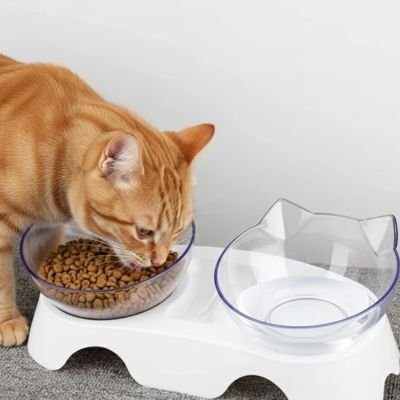 chat croquettes gamelle pour chat surélevée monchatgasur