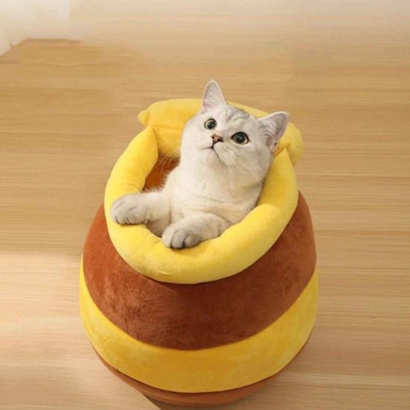 chat dans panier chat beelit