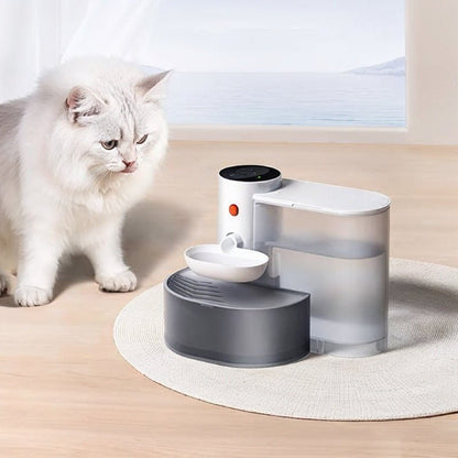 chta derrière fontaine eau pour chat
