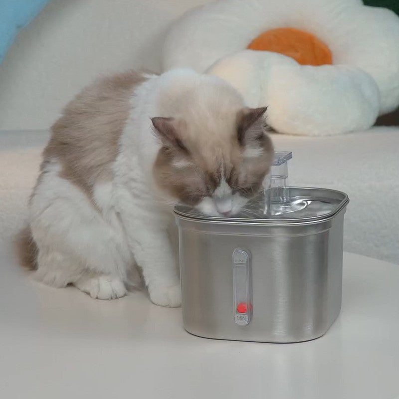 Fontaine-à-eau-chat-boit