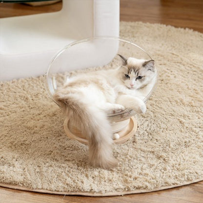 chat surveille Lit pour chat MonChatSpatial avec balles chat
