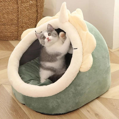 chaton joue panier chat dinochat