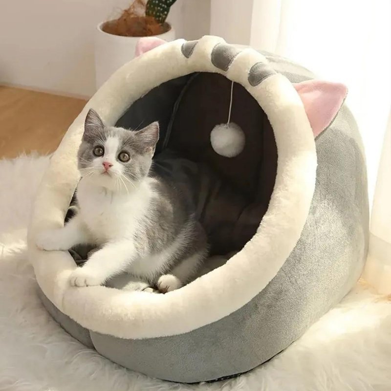 chaton pose dans Panier chat palachat