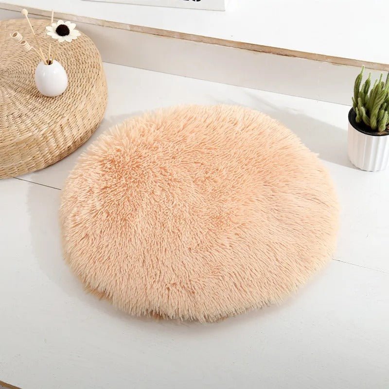 coussin chat abricot