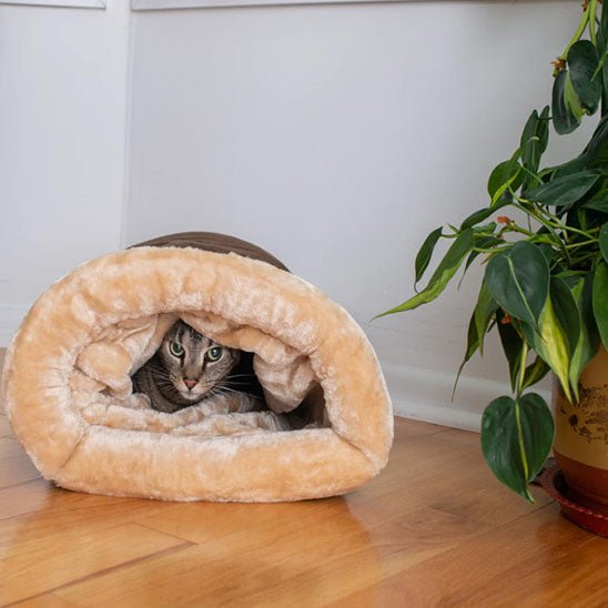 coussin pour chat café avec minou caché