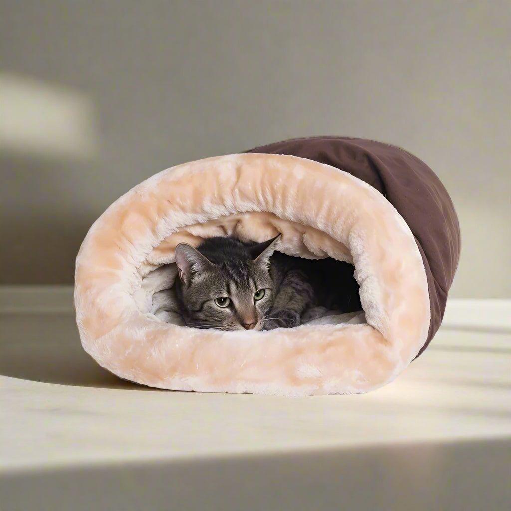 coussin pour chat café chat dedans