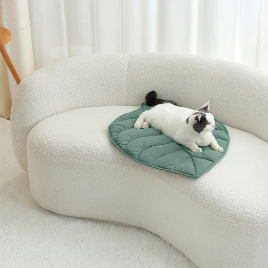 coussin pour chat divan