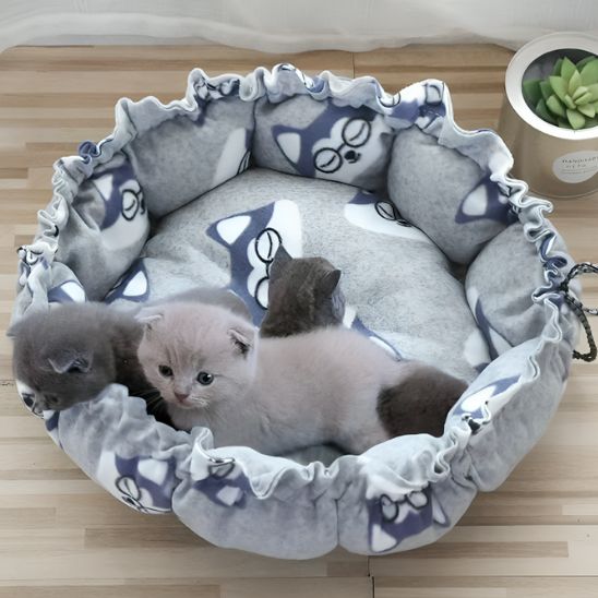 coussin pour chat gris tête chat