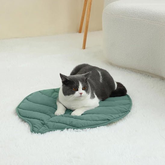 coussin pour chat moquette