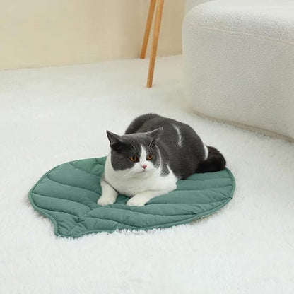 coussin pour chat moquette