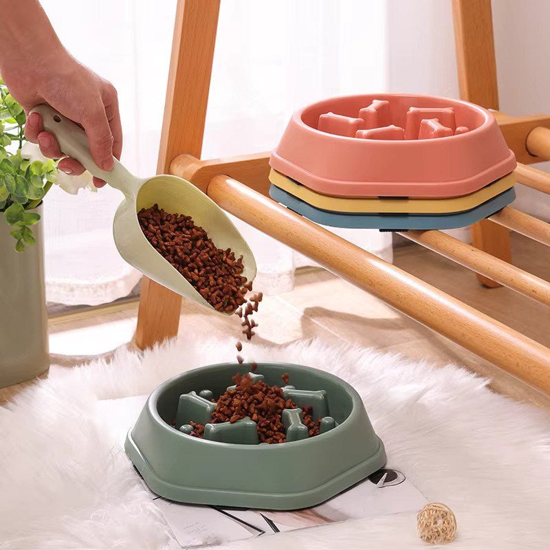 Croquettes versées gamelle anti glouton