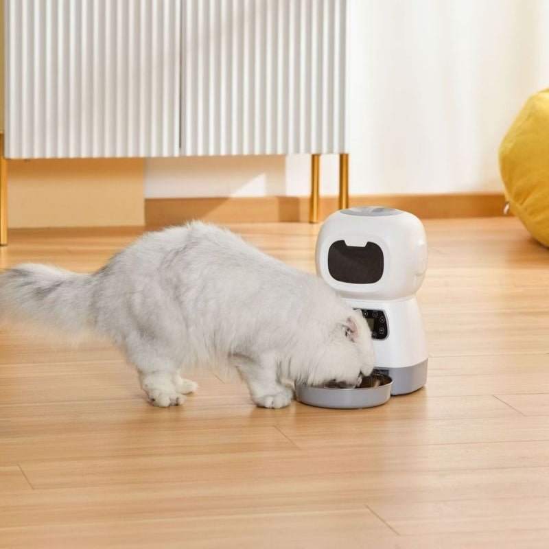 distributeur automatique croquettes chat mange loin
