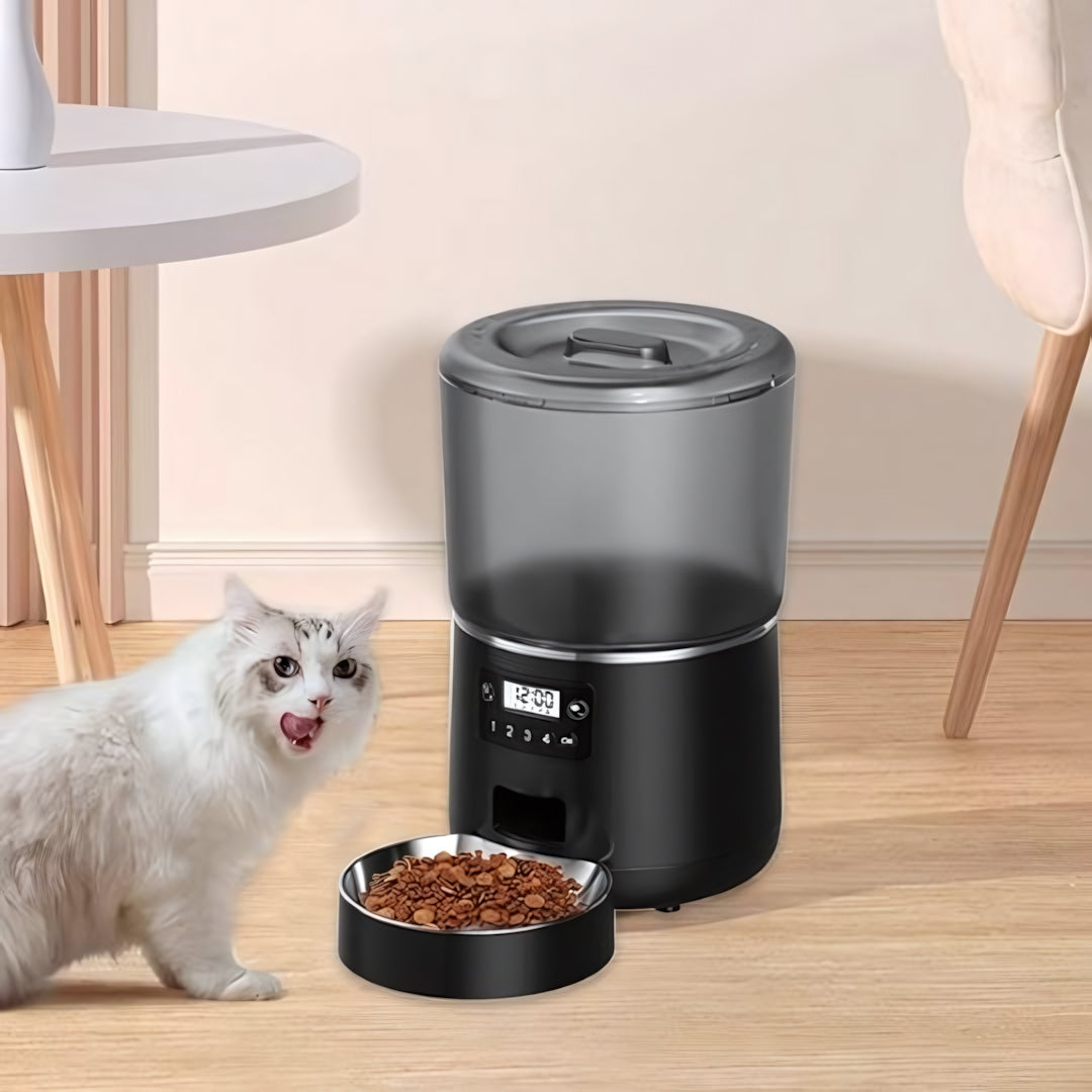 Distributeur automatique croquettes chat monchatdifort dans salon