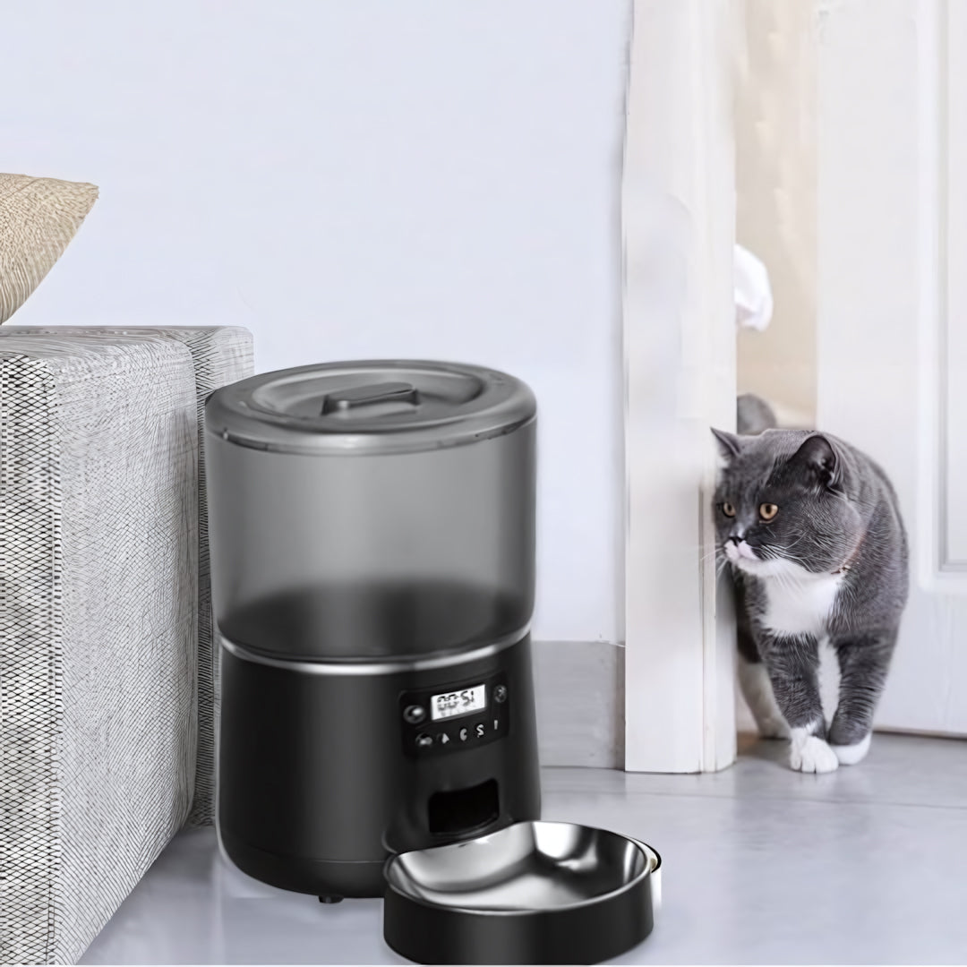Distributeur automatique croquettes chat monchatdifort noir avec chat