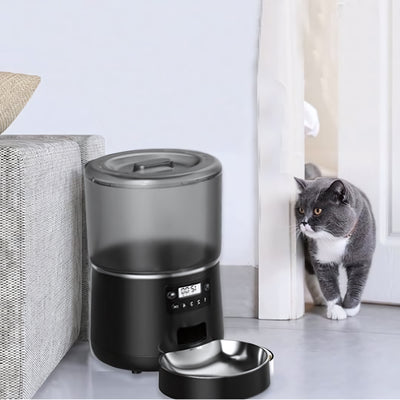 Distributeur automatique croquettes chat monchatdifort noir avec chat