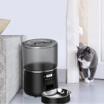 Distributeur automatique croquettes chat monchatdifort noir avec chat