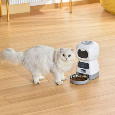 distributeur automatique croquettes chat pose photo