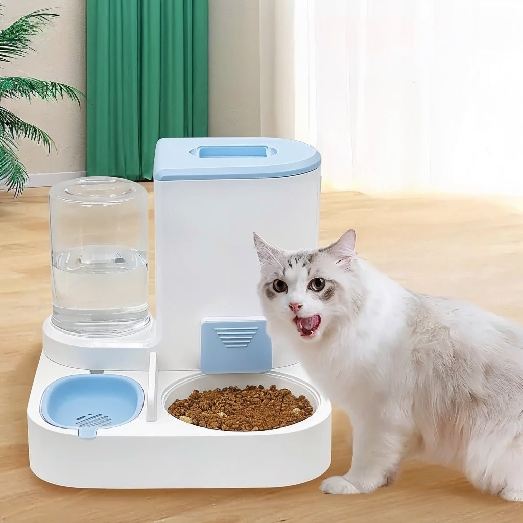 Distributeur croquette chat eau croquettes bleu