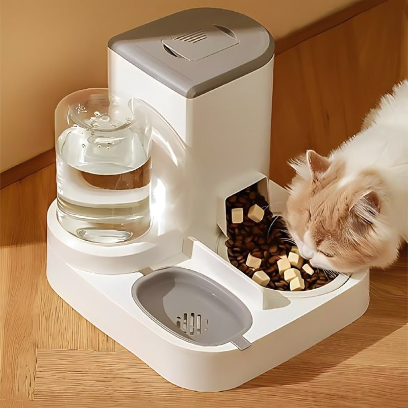Distributeur croquette chat eau croquettes gris