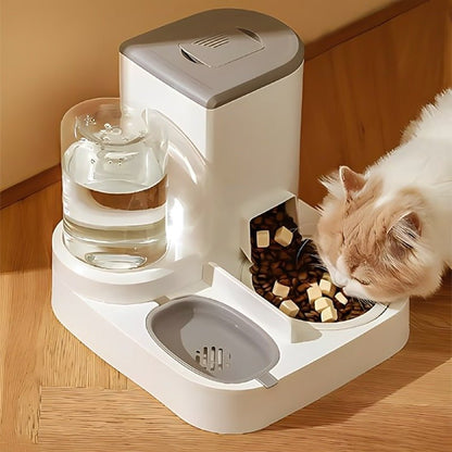 Distributeur croquette chat eau croquettes gris