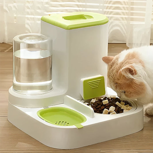 Distributeur croquette chat eau et croquettes vert