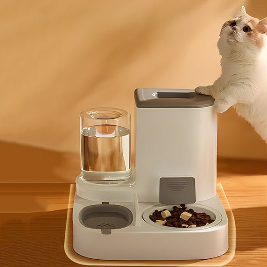 Distributeur croquette chat gris chat debout