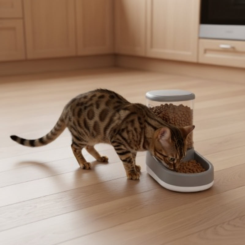 Distributeur croquettes chat MonChatEcoFeed gris