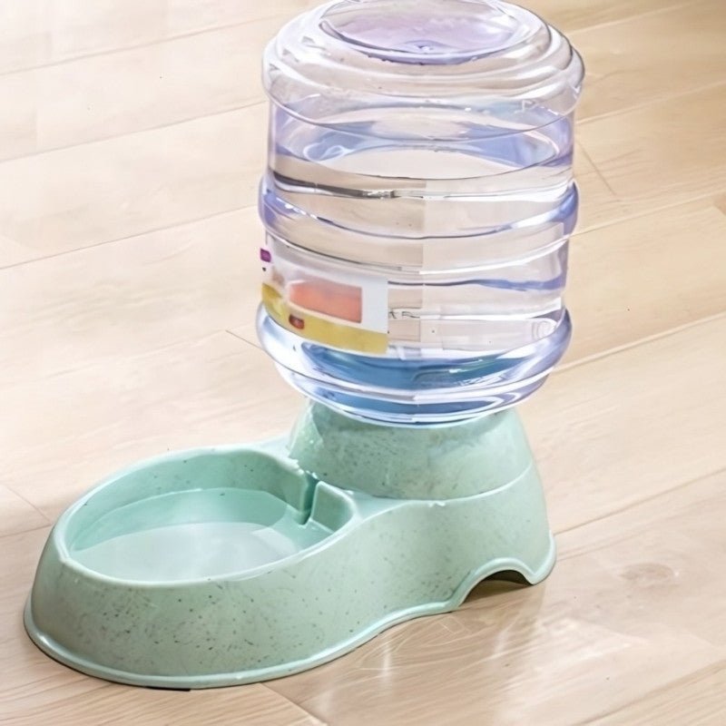 Distributeur croquettes et eau pour chat eau vert