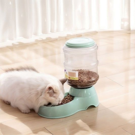 Distributeur croquettes et eau pour chat mange croquettes vert