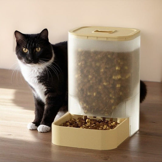 distributeur croquettes pour chat croquettes beige