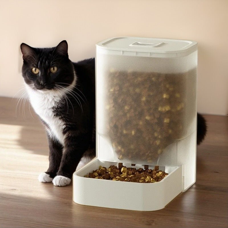distributeur croquettes pour chat croquettes blanc