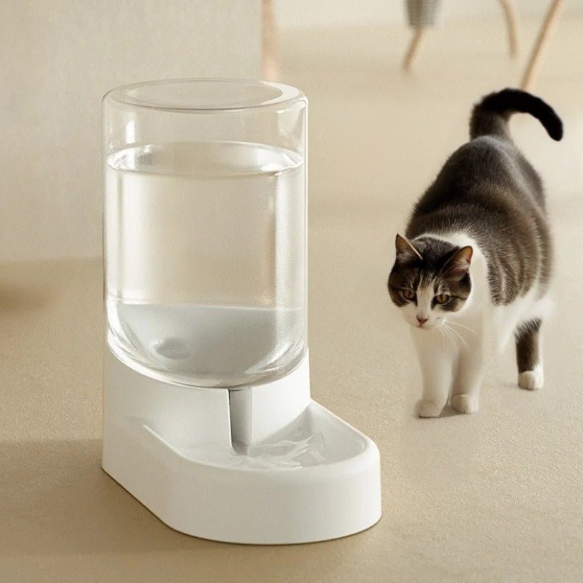 distributeur croquettes pour chat eau blanc