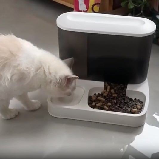 distributeur de croquettes pour chat modèle blanc