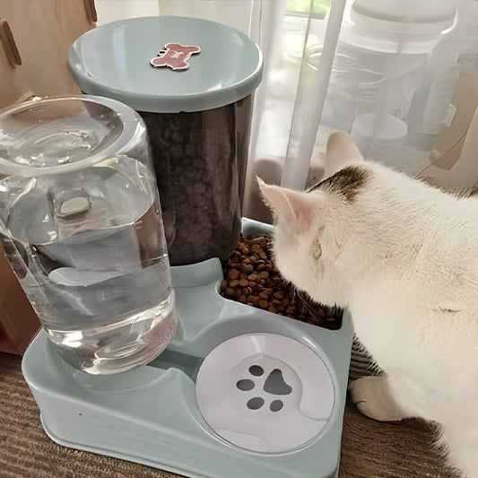 Distributeur de croquettes pour chat bleu vert