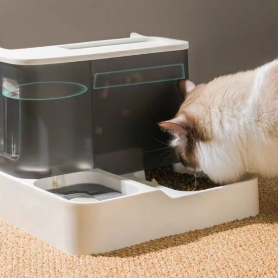 Distributeur de croquettes pour chat gris