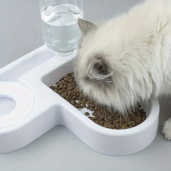 distributeur-eau-chat-mange