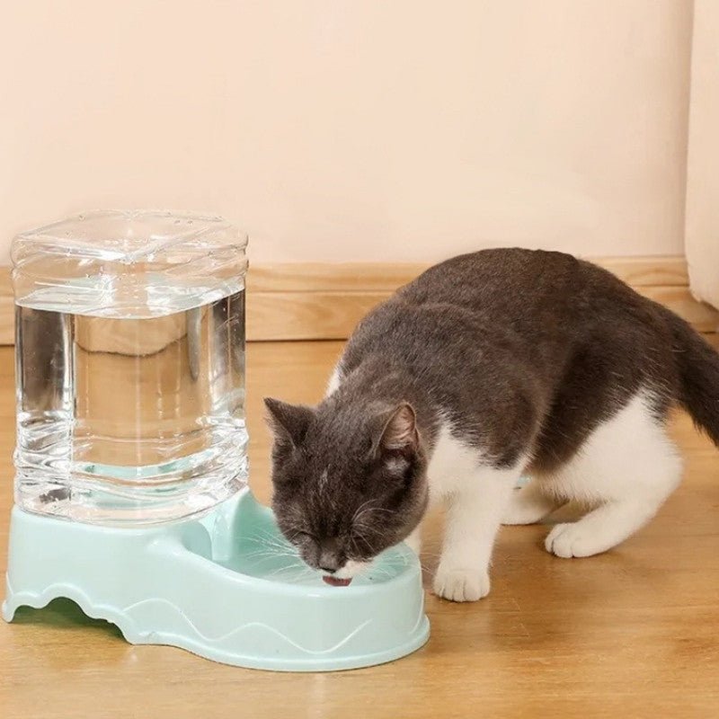 distributeur eau chat bleu