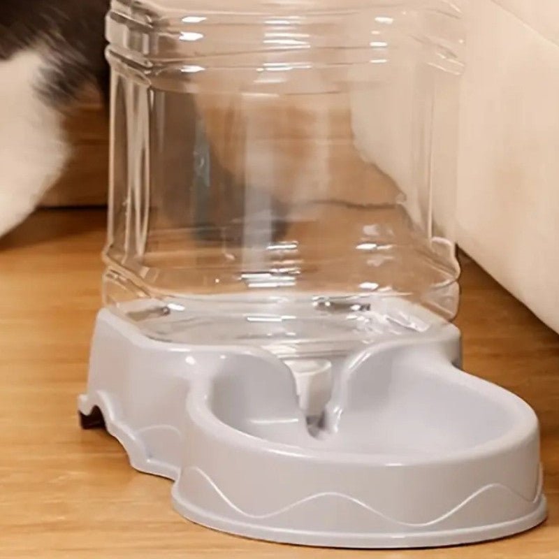 distributeur eau chat gris