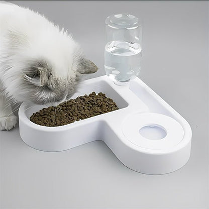 Distributeur eau chat blanc avec chat