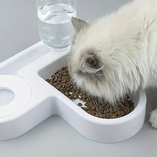 Distributeur eau chat croquettes eau