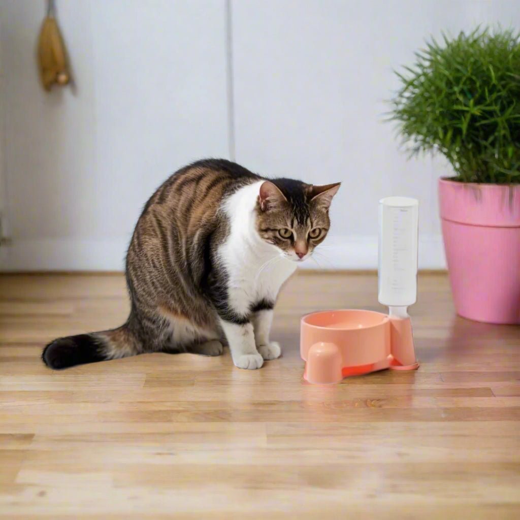 distributeur eau chat rose chat