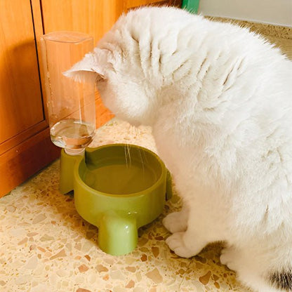 distributeur eau chat vert chat regarde